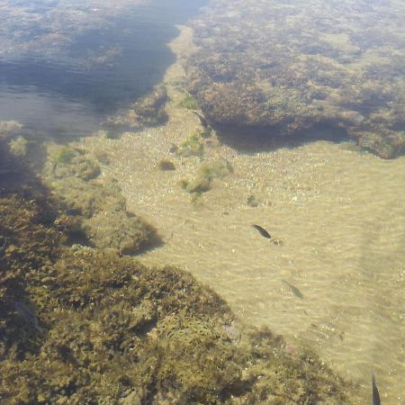 Laguna Ville 08 Itacimirim Εξωτερικό φωτογραφία